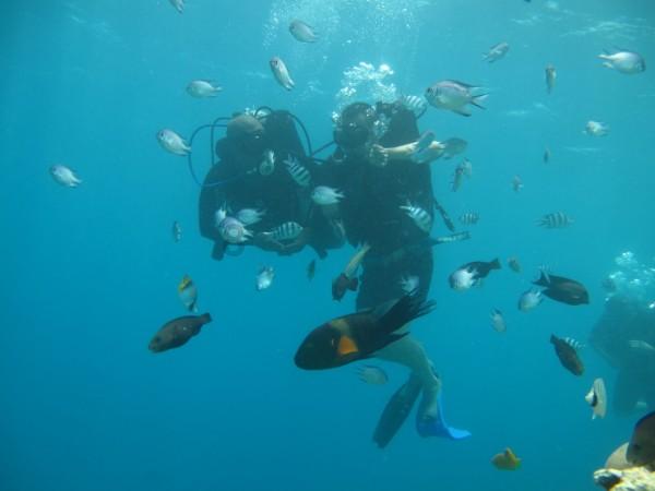 官方：利物浦20岁小将拉姆齐租借加盟博尔顿至本赛季结束